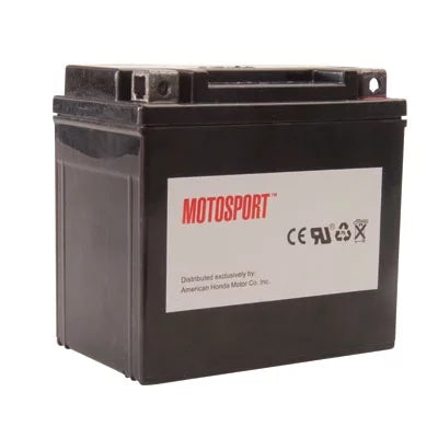 Motosport Maintenance-Free Battery with Acid GTX14BS for BMW F800S 2007