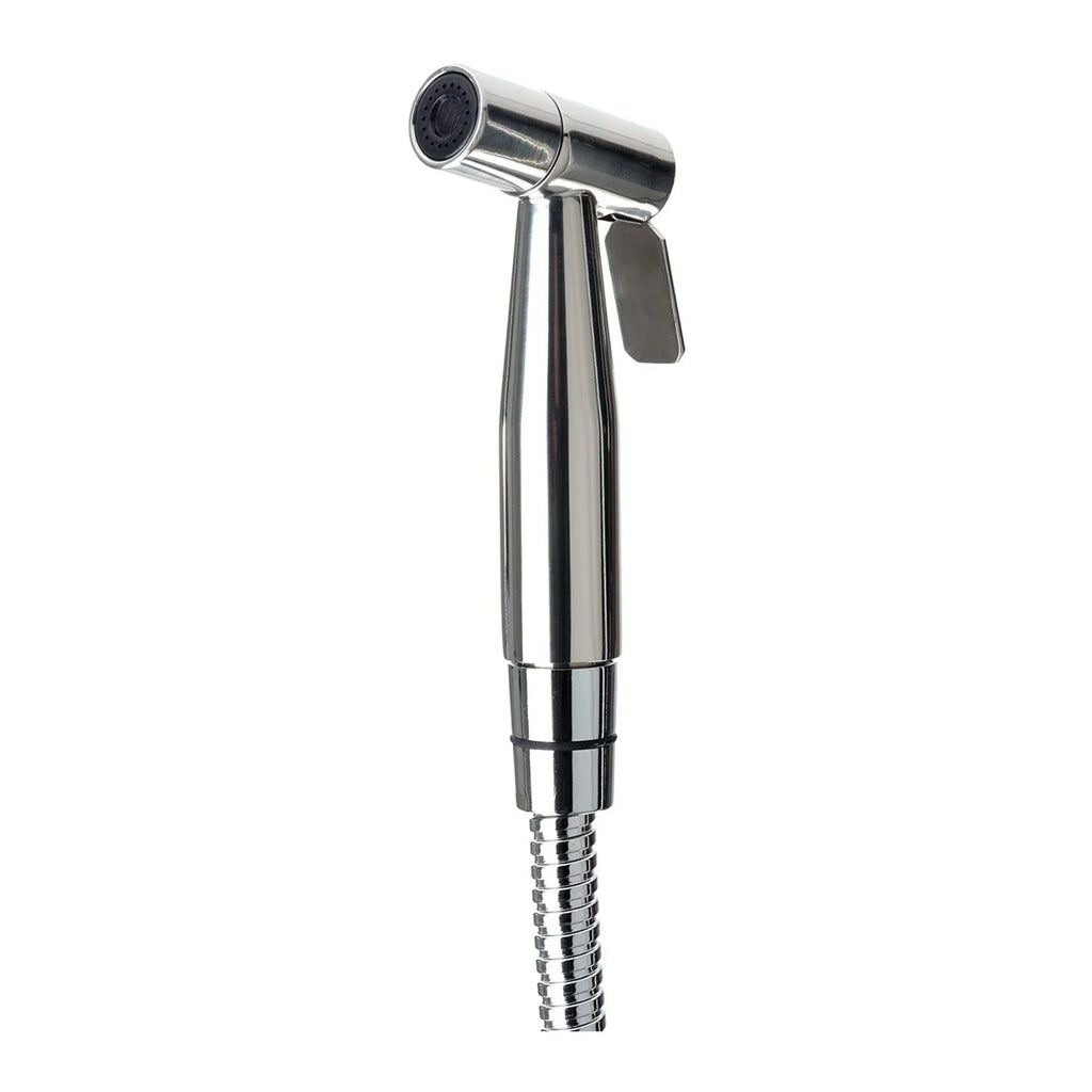 Brondell CleanSpa Luxury Stainless Steel Hand-held Bidet in Silver, All Installation Parts Included