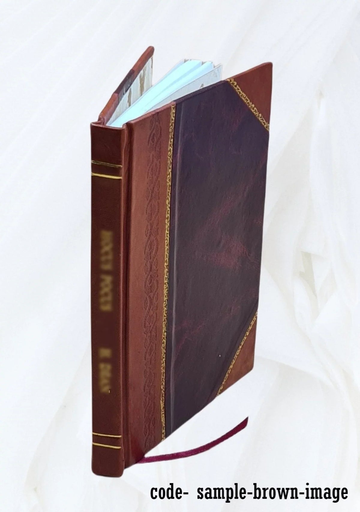 The carrying of the ghost :a book of verse / 1923 [Leather Bound]