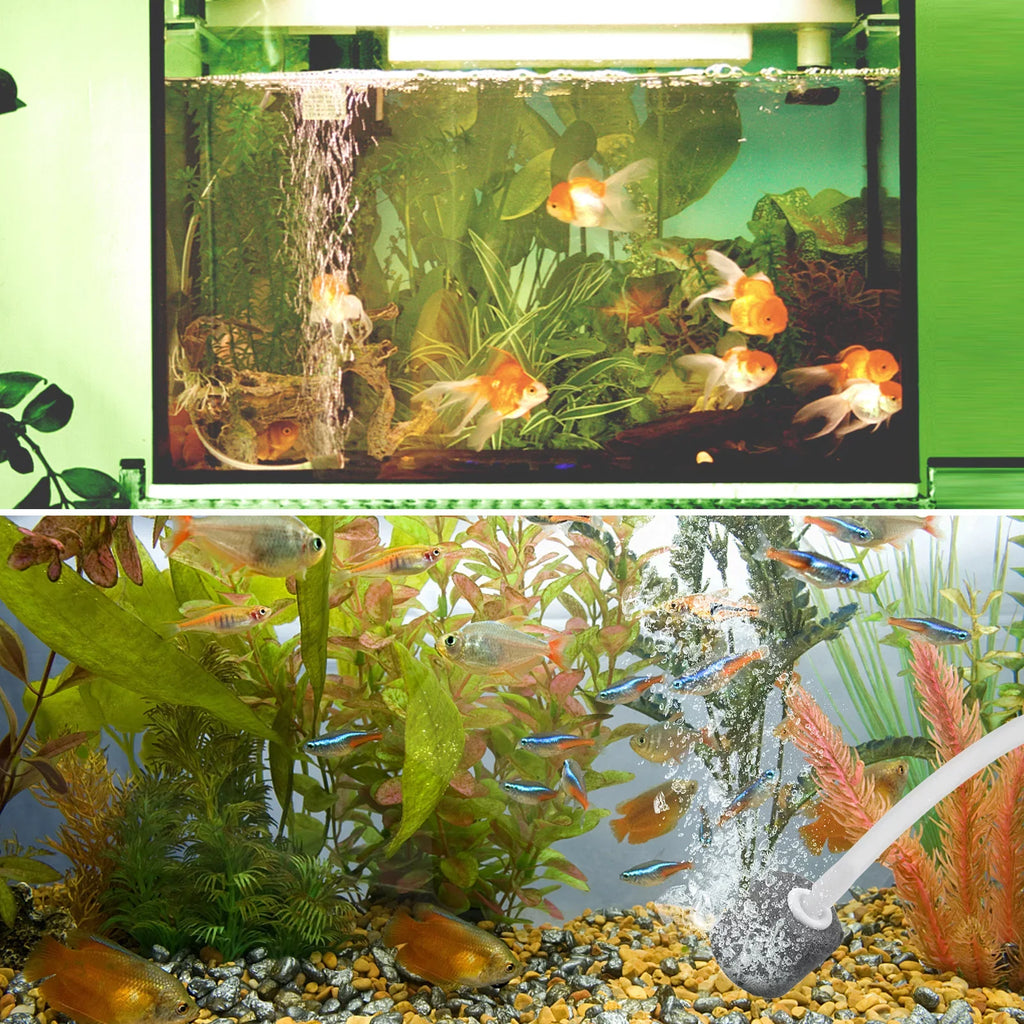 Htovila 5.5V 1.5W Solar Air Pump Fish Oxygenator with Aquarium & Air Bubble Stone Pond Pump Aerator Rechargeable for Fishing Fish Tranportation Small Ponds Pools Circulation Garden Landscap