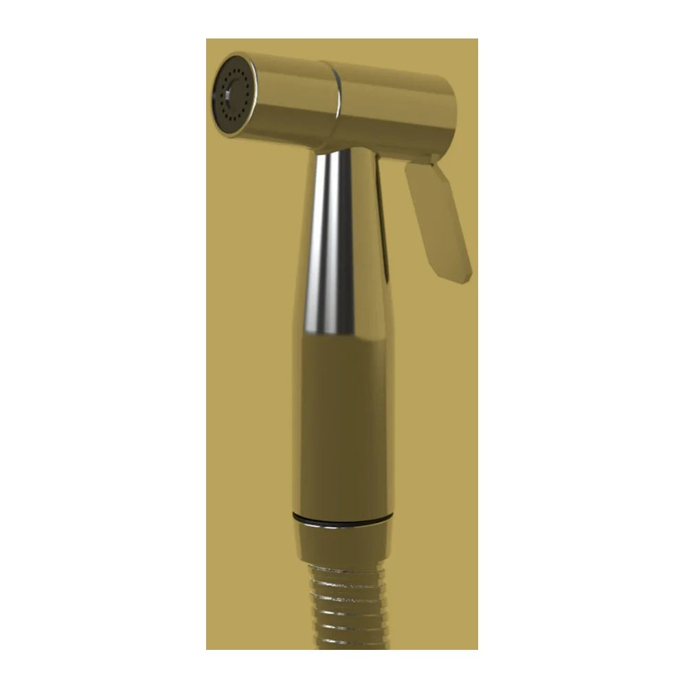 Brondell CleanSpa Luxury Stainless Steel Hand-held Bidet in Silver, All Installation Parts Included