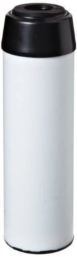 Pentek TSGAC-10 Scale Filter (9-3/4" x 2-7/8")
