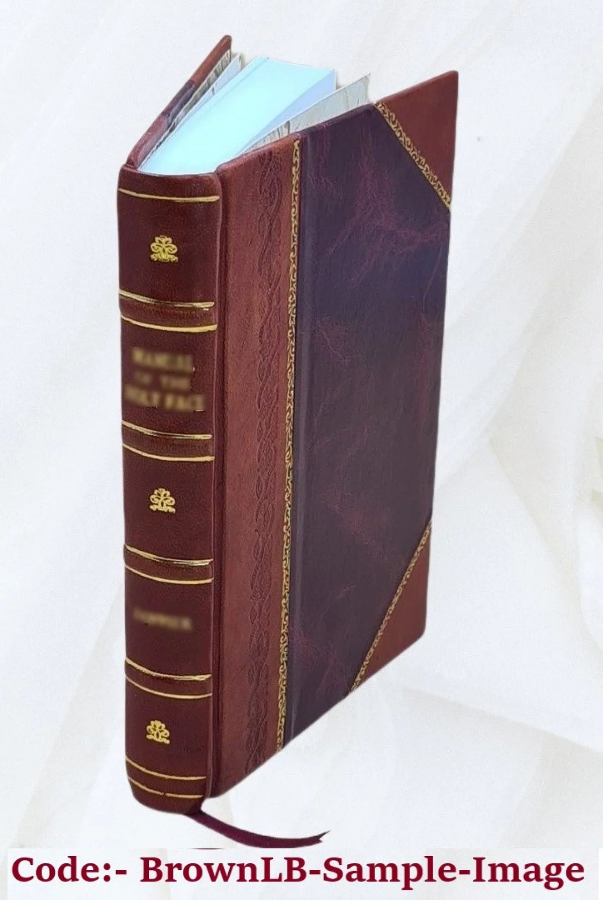 P. Ovidi Nasonis Metamorphoseon libri XV : Lachtanti Placcidi qui dicitur Narrationes fabularum Ovidianarum / recensuit apparatu critico instruxit Hugo Magnus. 1914 [Leather Bound]