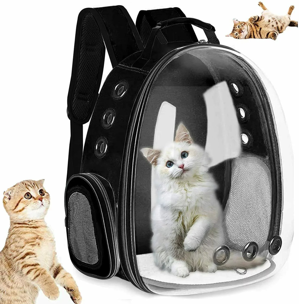 Cat Backpack Carriers Bag, Dog Backpack, Pet Bubble Backpack for Small Cats Puppies Dogs Bunny, Airline-Approved Ventilate Transparent Capsule Backpack for Travel, Hiking and Outdoor Use- Black