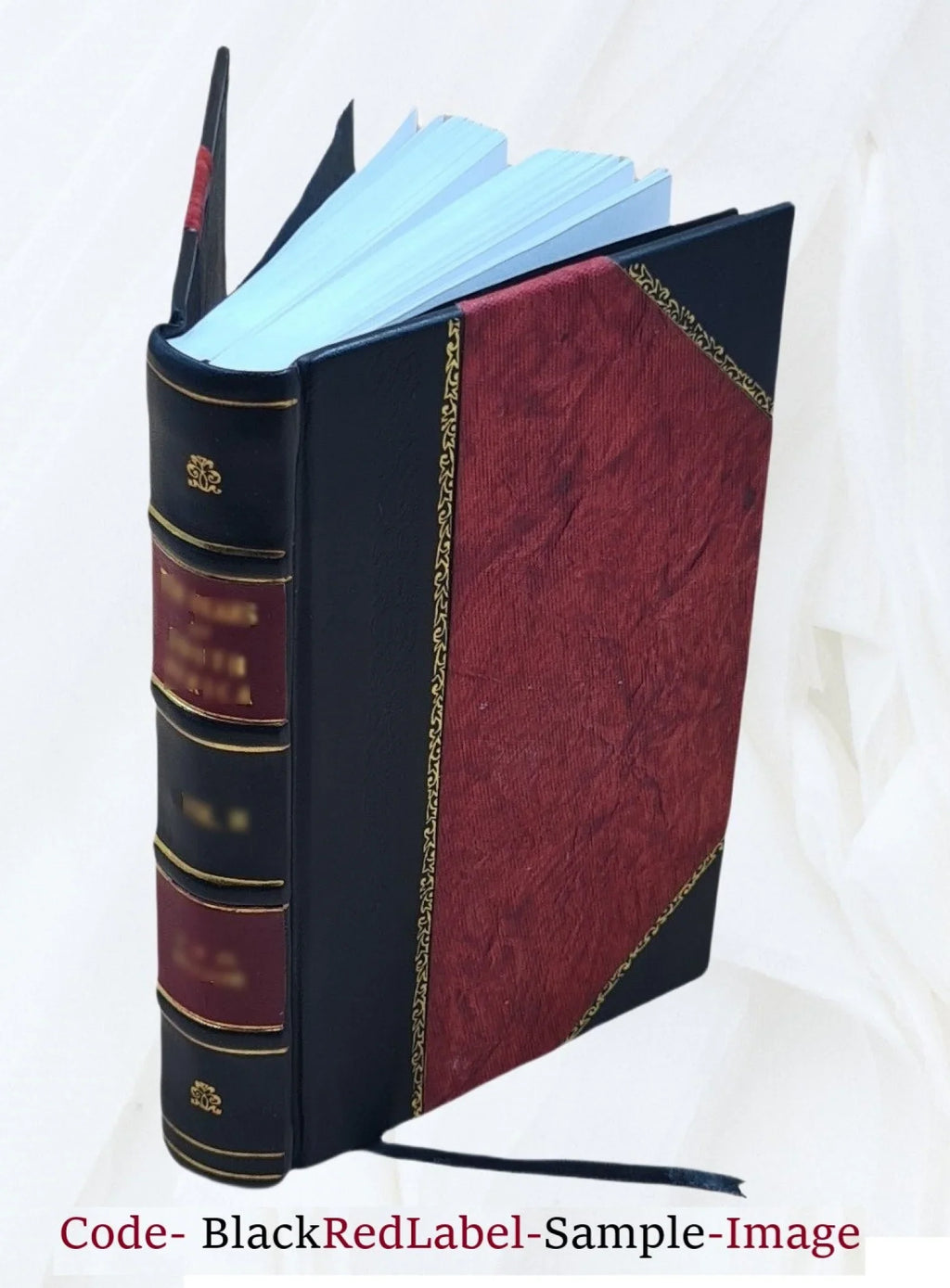 The best ghost stories; 1919 [Leather Bound]