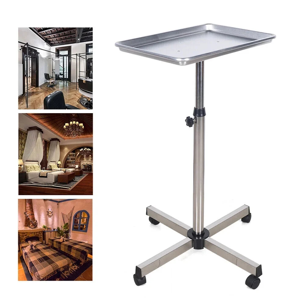 DENEST Mobile Cart Rolling Cart Dentistry Clinics Beauty Salon Stand Rack Tray Trolley